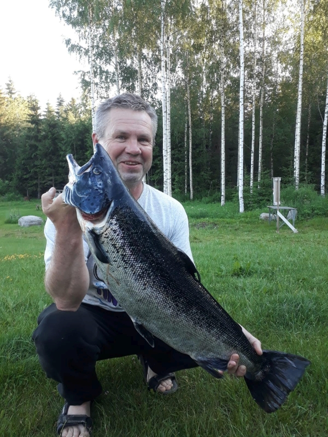 Tintti-Uistimen galleria