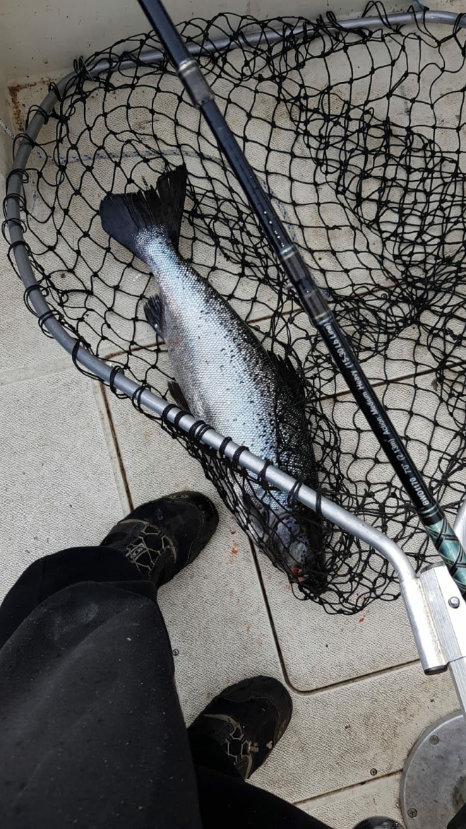 Tintti-Uistimen galleria