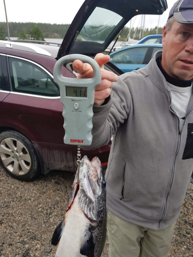 Tintti-Uistimen galleria