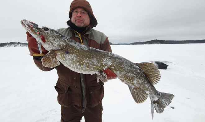 Tintti-Uistimen galleria